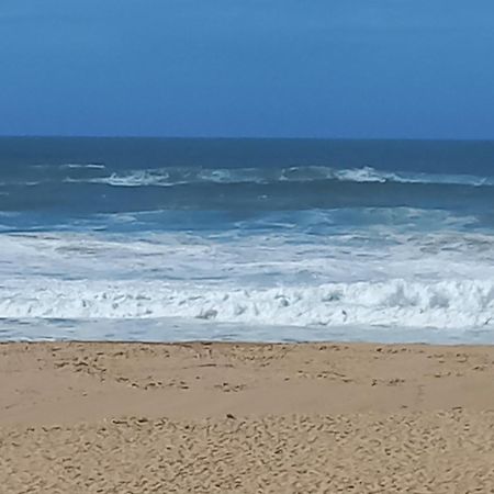 Plage Et Foret Pobral Dış mekan fotoğraf