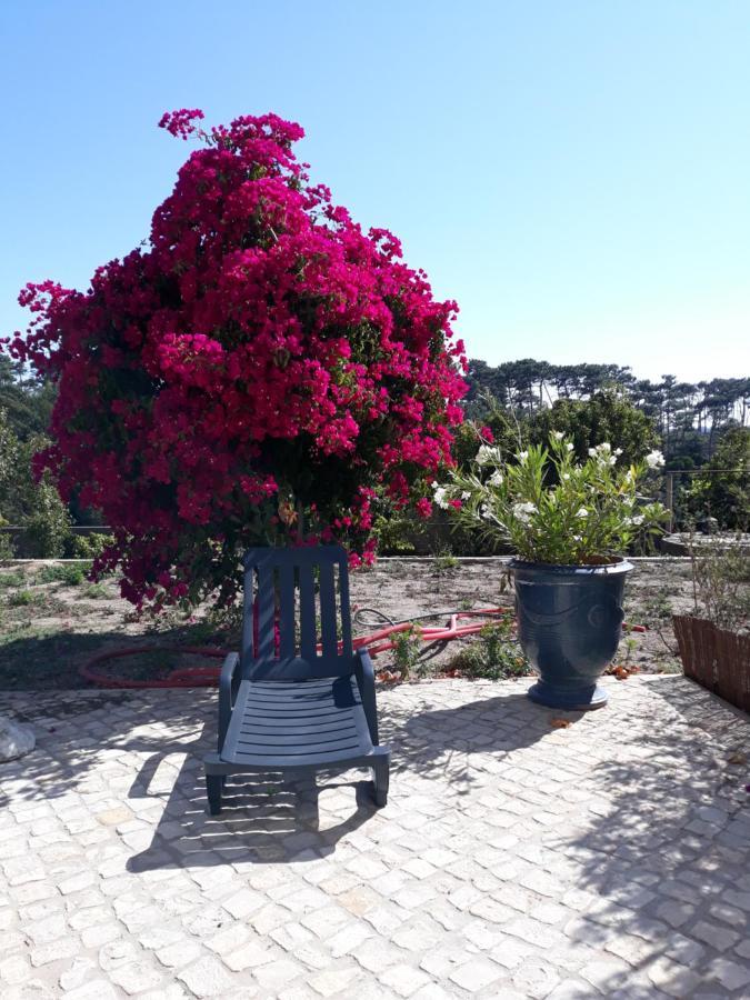 Plage Et Foret Pobral Dış mekan fotoğraf