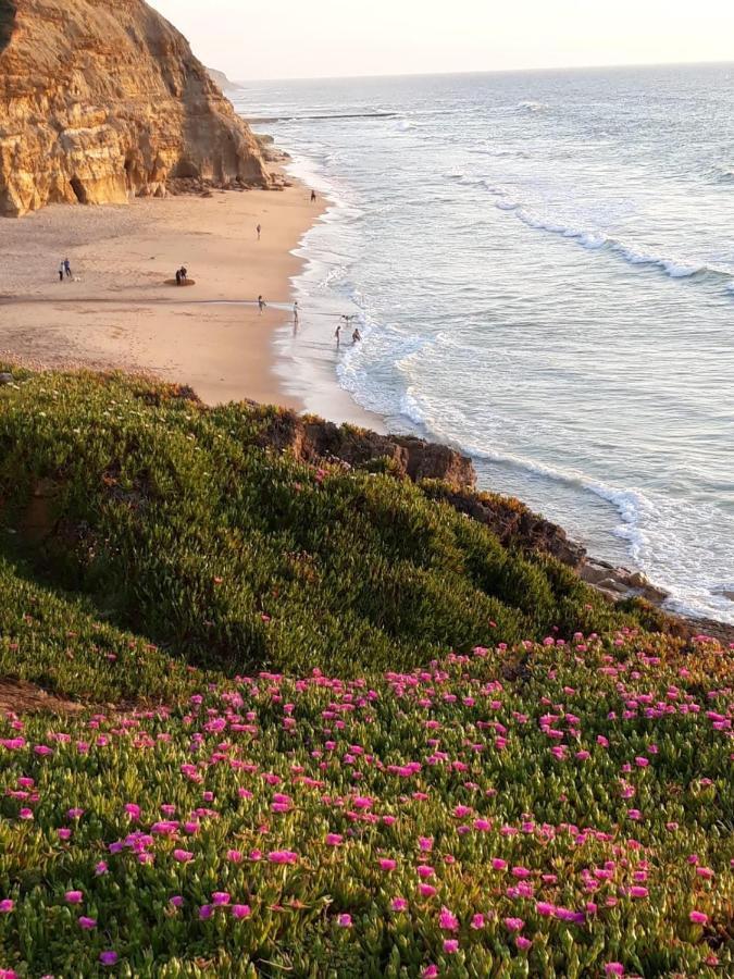 Plage Et Foret Pobral Dış mekan fotoğraf