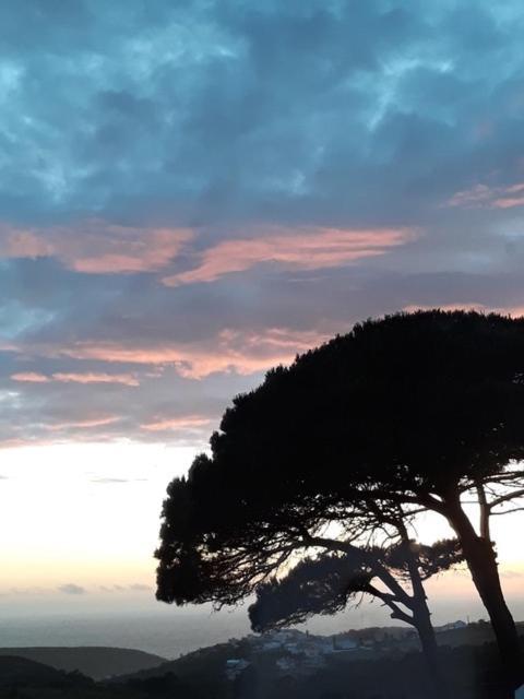 Plage Et Foret Pobral Dış mekan fotoğraf