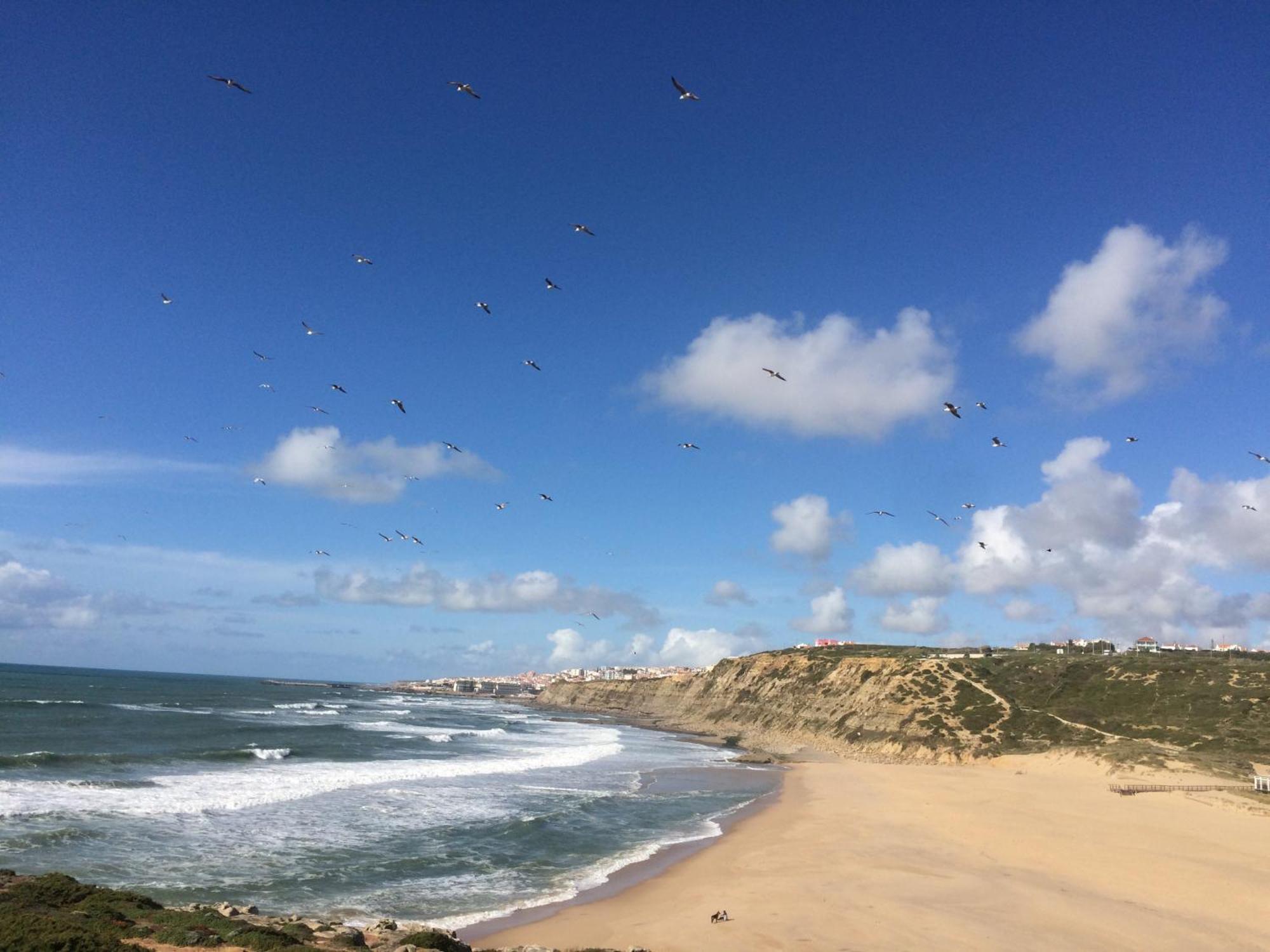 Plage Et Foret Pobral Dış mekan fotoğraf