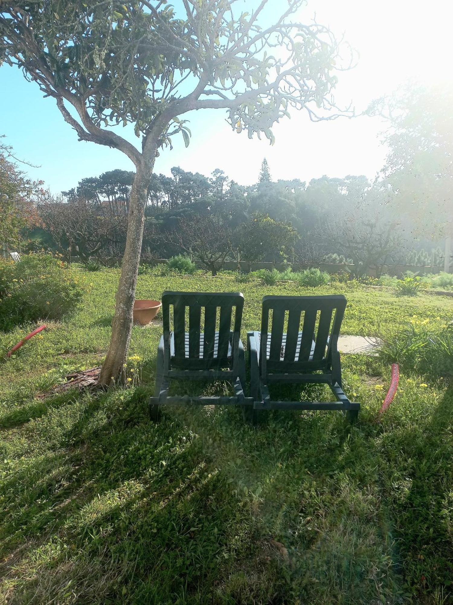 Plage Et Foret Pobral Dış mekan fotoğraf